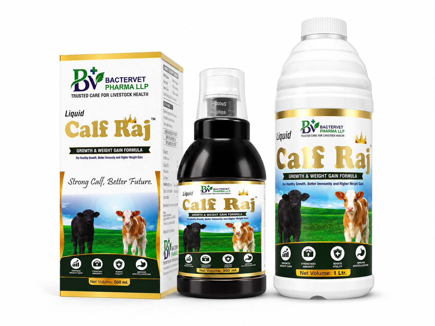 Calf Raj